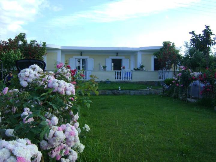 Zante Summer Retreats - Marietta'S Apartment2 Drosia Kypseli Eksteriør bilde